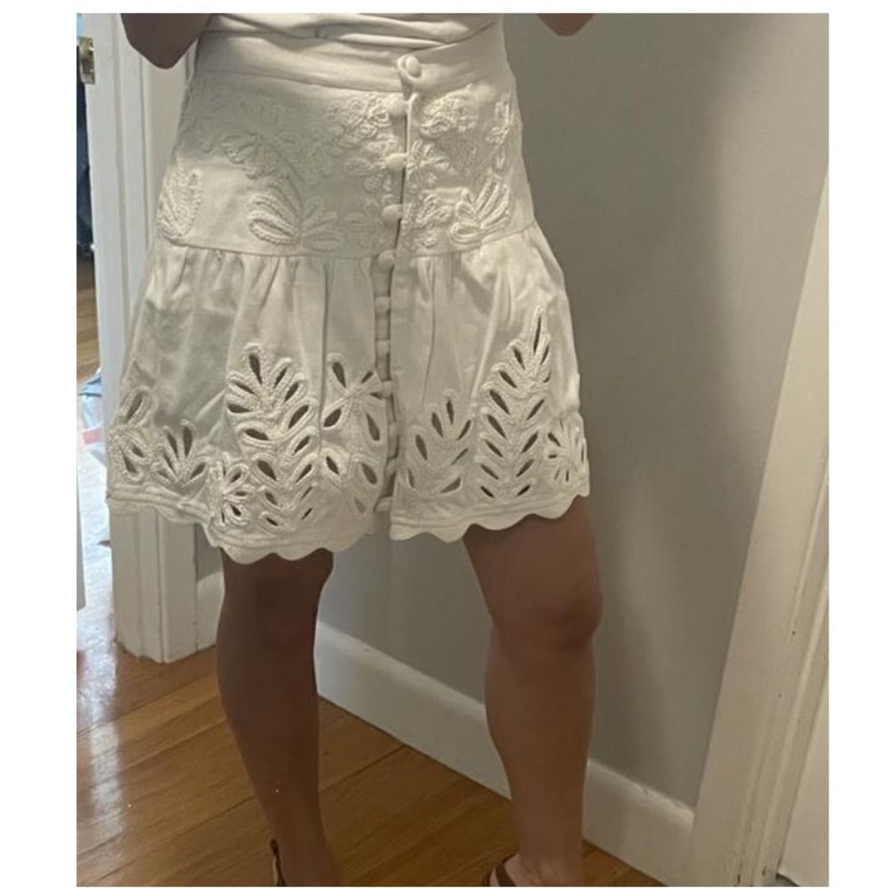 Anthropologie Ivory Drop-Waist Embroidered Eyelet Skirt - Picture 11 of 11